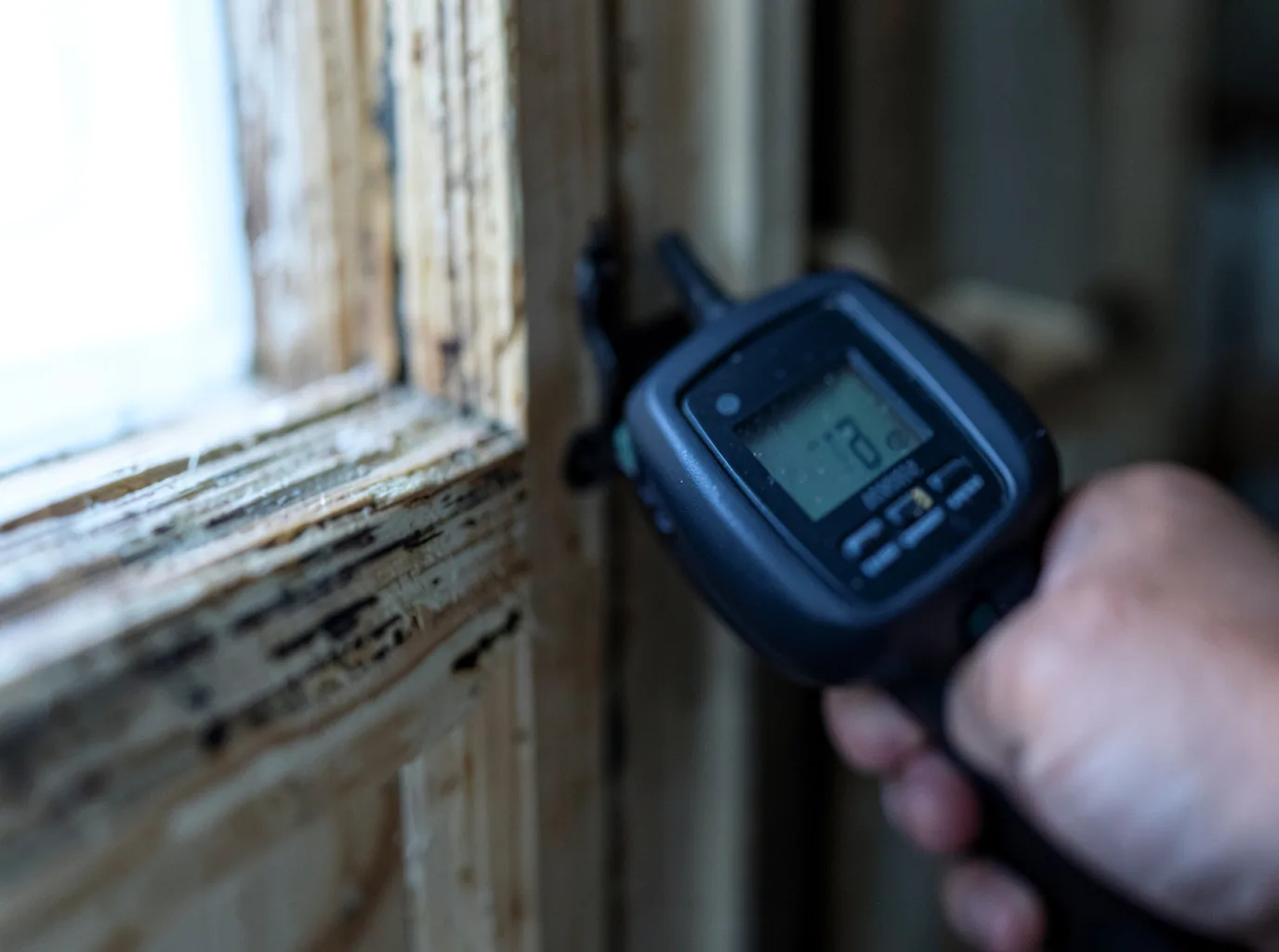 Moisture Inspection And Documentation in Continental Divide, NM
